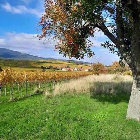Апартаменты Le Refuge De Gatien Ле-Овальд