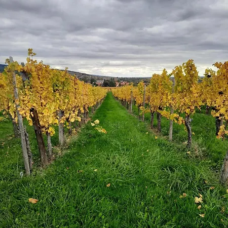 Le Refuge De Gatien *