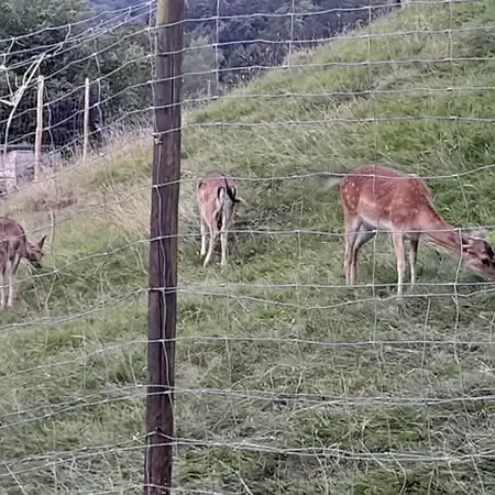 Le Refuge De Gatien Daire